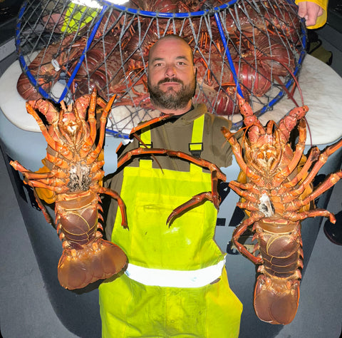 2/15/25 Shawn Hawkins Toad Lobster Trip