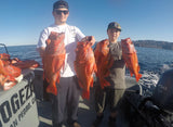 “ROGEZAC” CATALINA ISLAND FISHING CHARTER- DEPOSIT ONLY