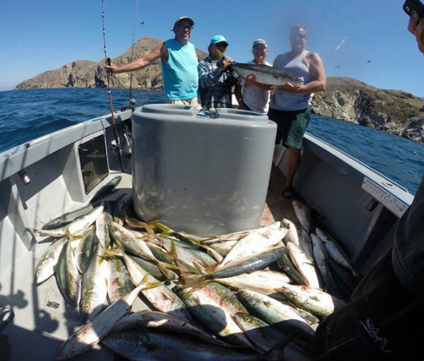 ROGEZAC” CATALINA ISLAND FISHING CHARTER- DEPOSIT ONLY – Rogezac Sportfishing
