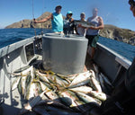 “ROGEZAC” CATALINA ISLAND FISHING CHARTER- DEPOSIT ONLY