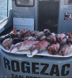 “ROGEZAC” LOCAL FISHING CHARTER- DEPOSIT ONLY