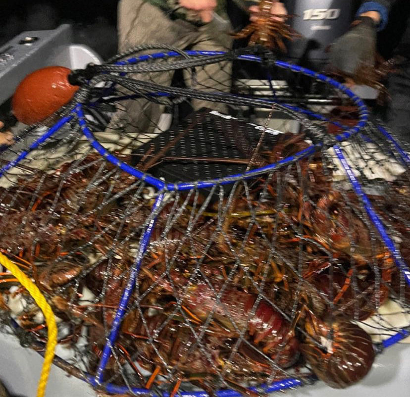 California Spiny Lobster Hoop Net (FULL SETUP)